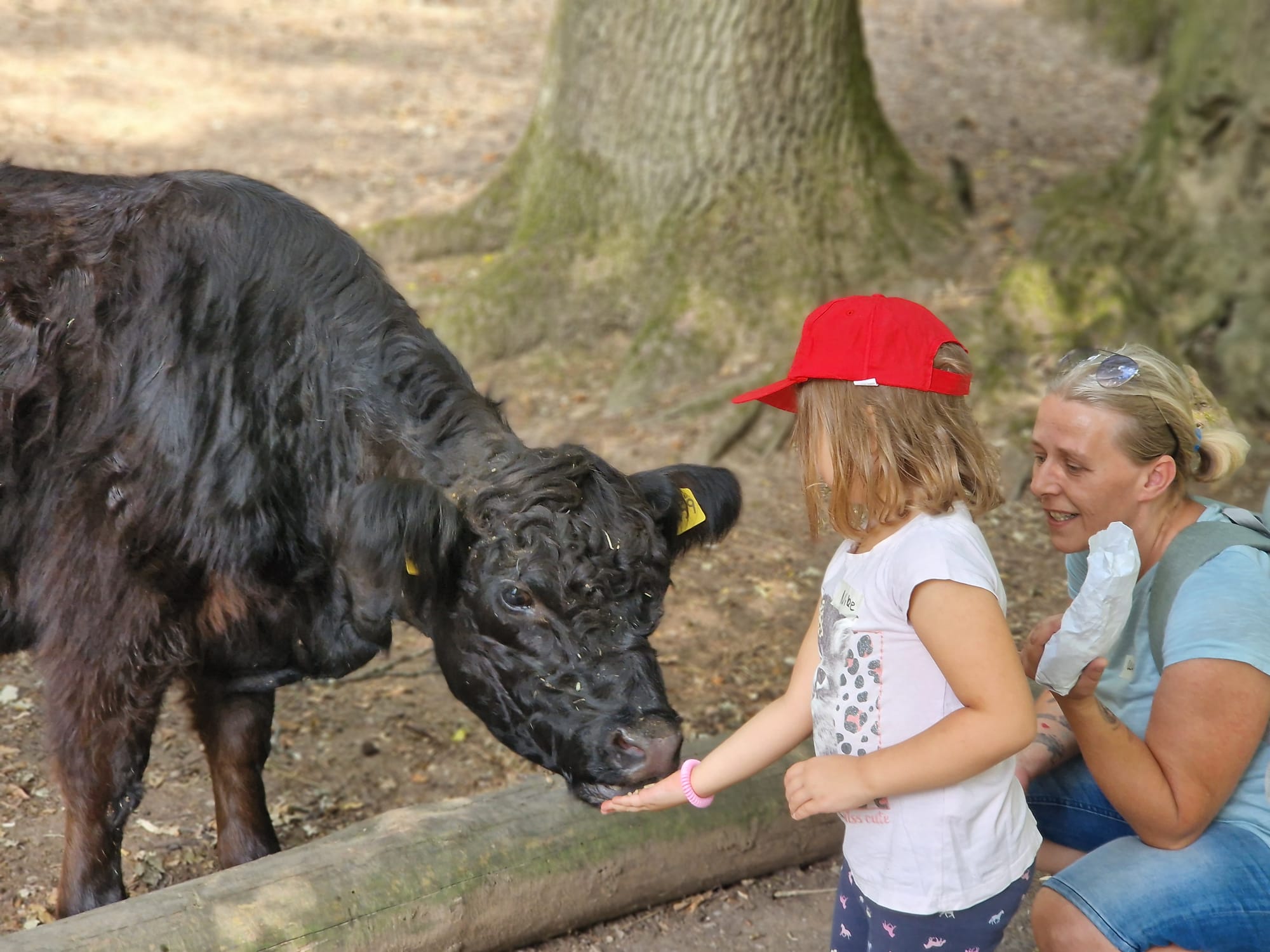 Du betrachtest gerade Ferienprogramm 2026
